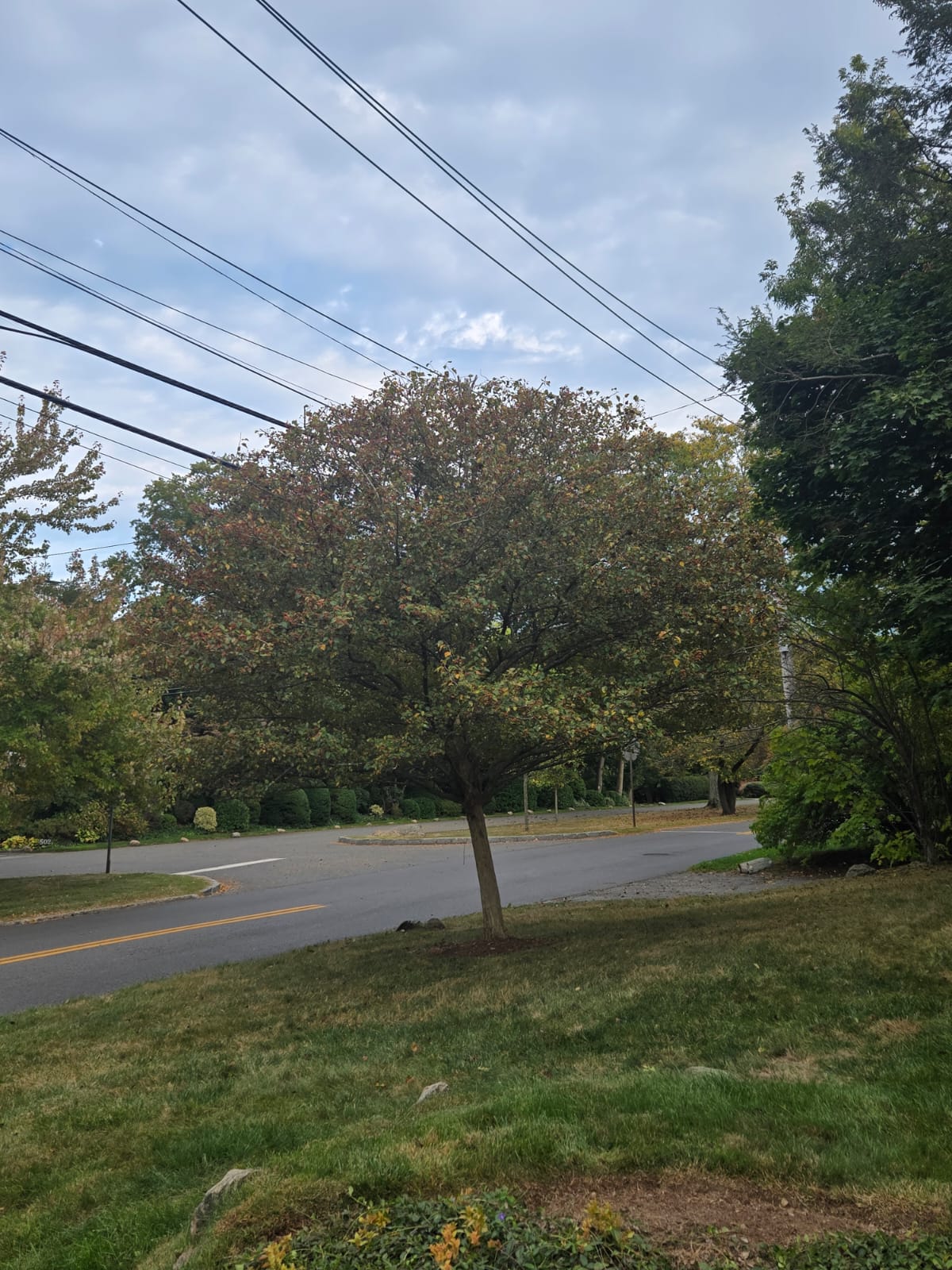 GONZALEZ BROS CONTRACTING LLC Work Team